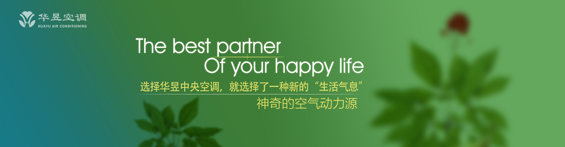 阳春有脚网